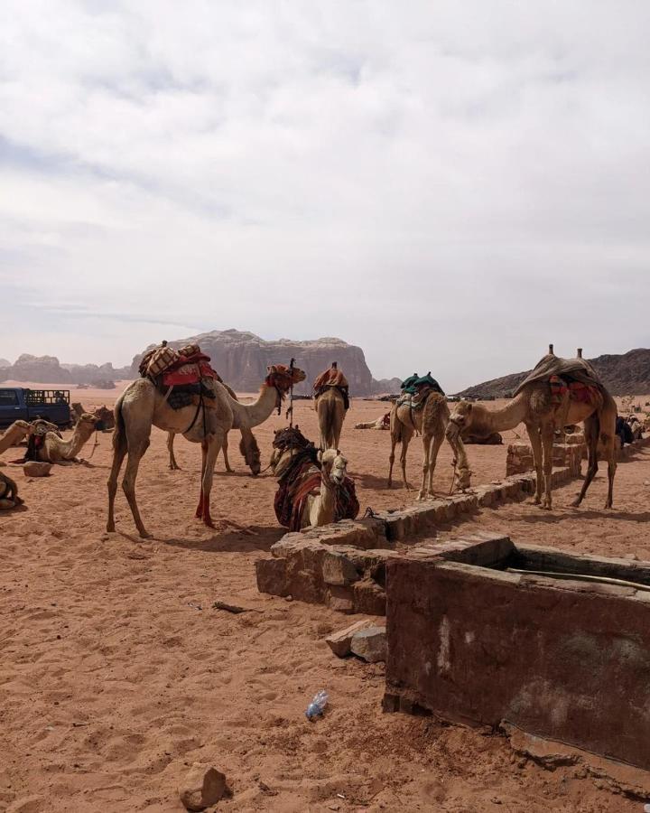 Wadi Rum Fun Time Tour'S מראה חיצוני תמונה