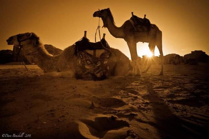 Wadi Rum Fun Time Tour'S מראה חיצוני תמונה
