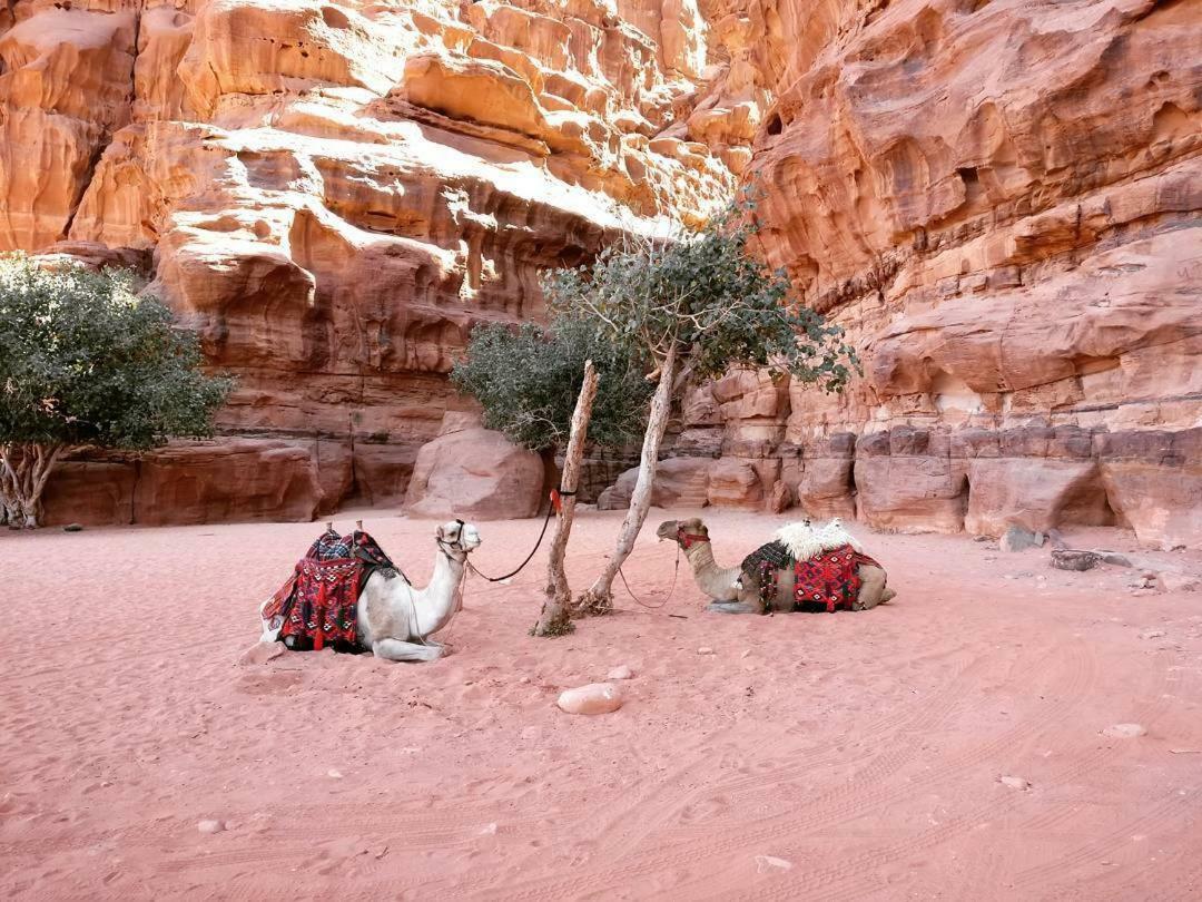 Wadi Rum Fun Time Tour'S מראה חיצוני תמונה